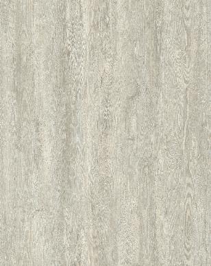 Chalk - P220CK