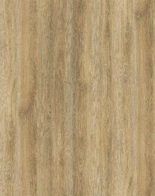 Oak - S520OK