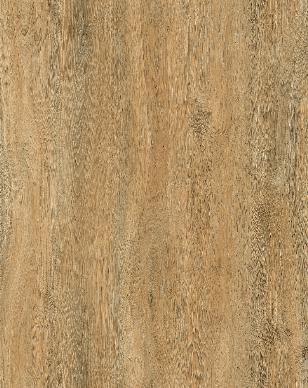 Pecan - S520PC
