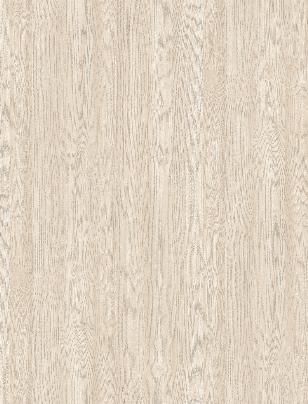 Snow - S520SW