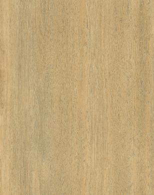 Wheat - P220WH