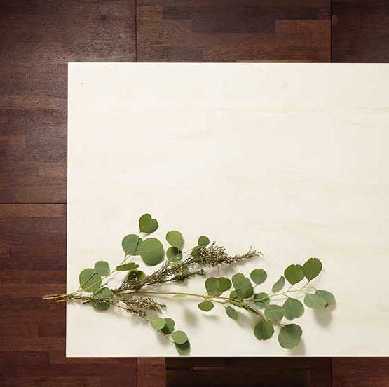 Flaxen by Hanex Solid Surfaces on table with greenery